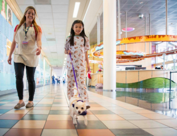 A patient with a small dog walks with a child life specialist through the halls of a very colorful children's hospital.